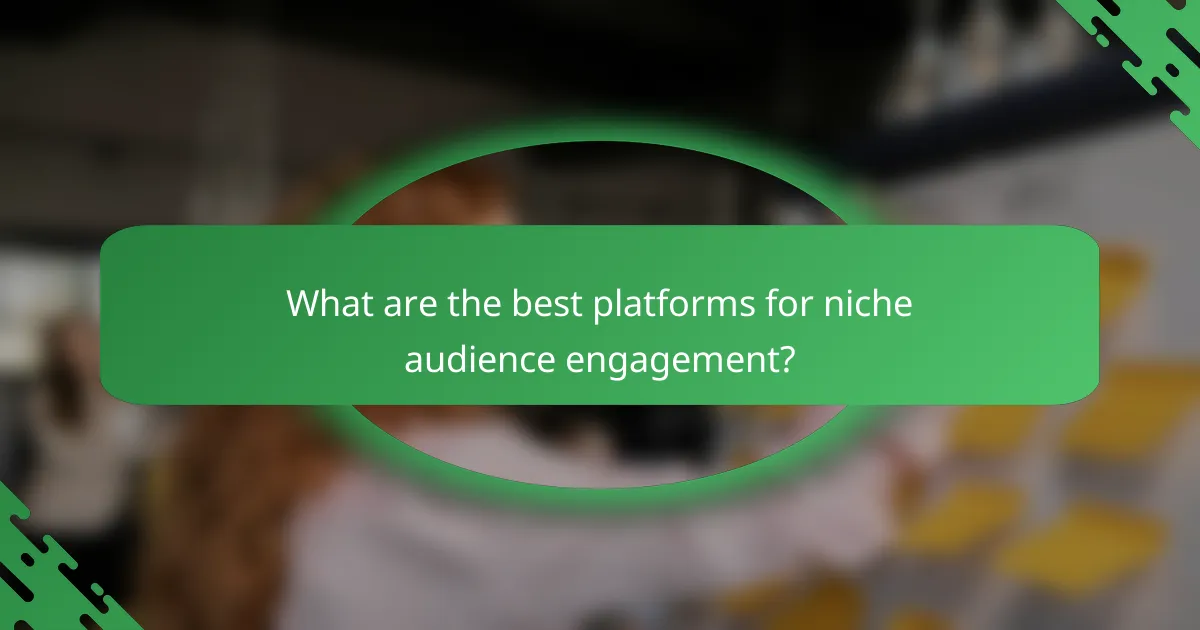 What are the best platforms for niche audience engagement?