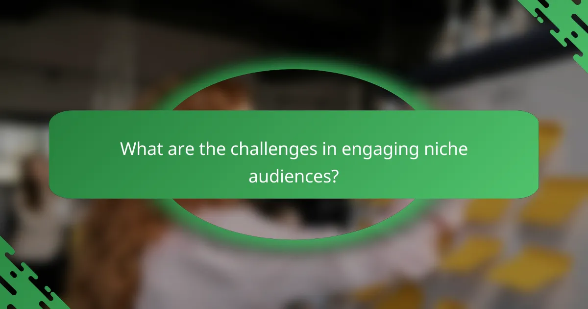 What are the challenges in engaging niche audiences?