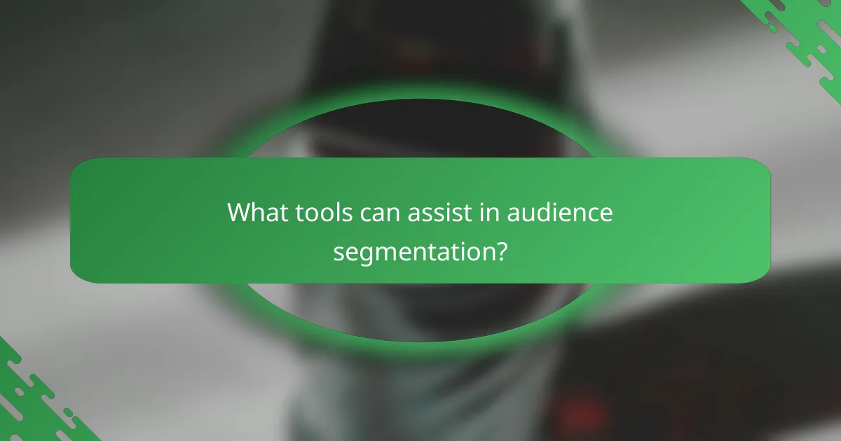What tools can assist in audience segmentation?
